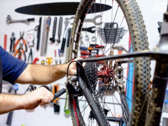 Bicycle Sales, Accessories, Workshop and Espresso Bar Brisbane East #5176RE-CP