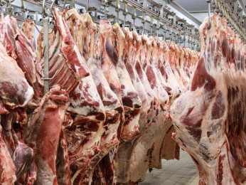 Gold Coast Butcher Shop Business for Sale , Trial Available!