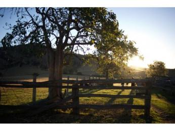 Wedding Venue Business for Sale - Bed & Breakfast – Ref: 2494