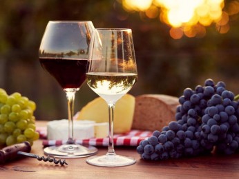 Licenced Cafe– Brisbane University Location Business For Sale #9191