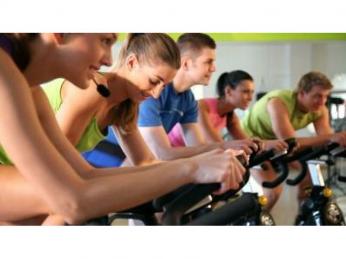 Red Tractor Fitness - Everton Hills - Ref: 2412