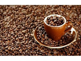 Licenced Cafe - REF# 2175