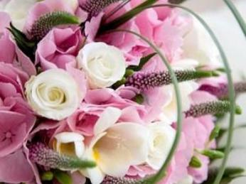 Stunning Inner City Florist – Ref: MB 2496