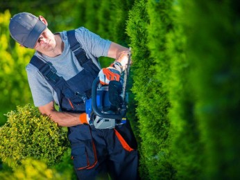 Commercial Garden Maintenance and Soft Landscaping Business for Sale - Ref: 2906 