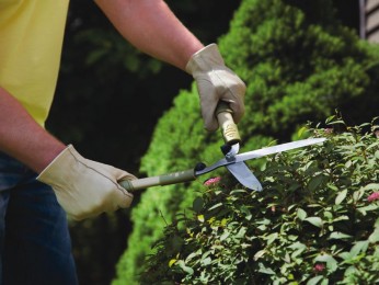 Brisbane Commercial Garden/Body Corporate Maintenance Business For Sale Ref #3563