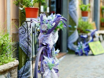 A Great Life Style Business for Sale – Income & Freehold Opportunity - Ref: 2910