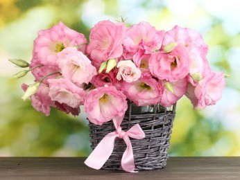 Superb Florist and Gift Shop Enthused with Taste – Ref: 2721