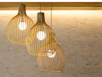 Established Retail and Online Lighting Business with Freehold Available #5497RE