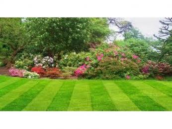 TLS Tingalpa Landscape Supplies - Freehold also available 10,000sqm - Fanastic potential ROI