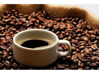 Espresso Bar/Coffee Shop