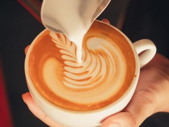 Great Lifestyle Opportunity - CBD Cafe / Coffee Shop Business for Sale: 2982