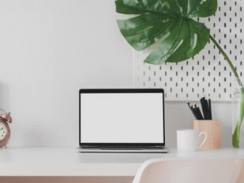 Profitable E-commerce Business Ready For New Owner #5231RE