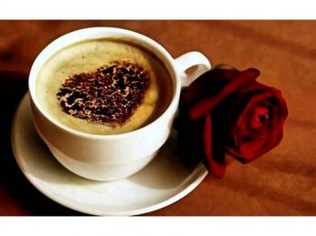 Lunch Bar / Cafe Premises for Lease – Ref: 2526