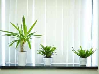 Profitable Blind Manufacturing Business for Sale – Ref: 2768